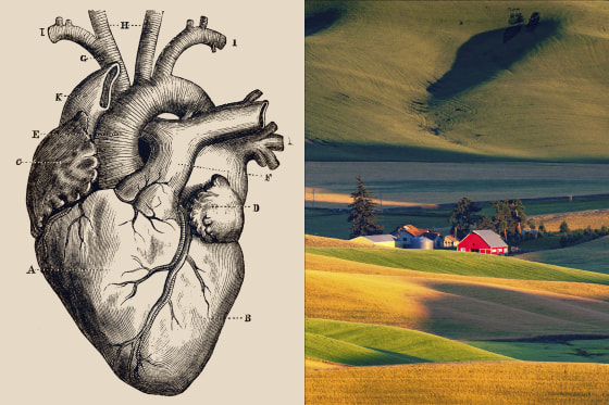 Split image of anatomical heart and a barn in a rural area.