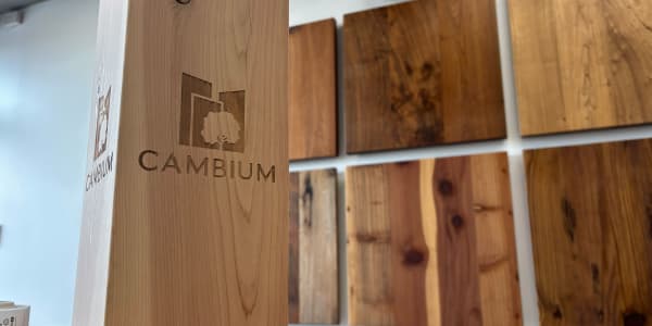 This startup is creating a global tech platform for recycled wood