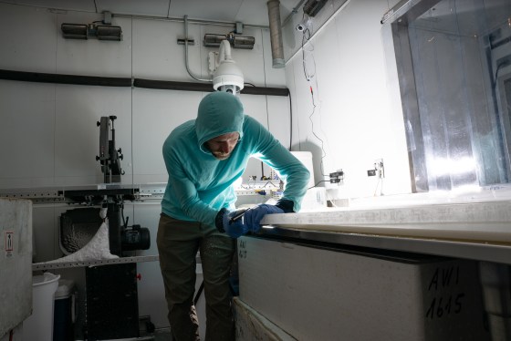 Carefully preparing the longitudinal ice core samples for high-resolution lead measurements.