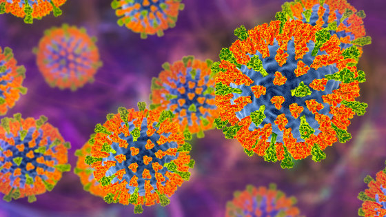 250221-measles-virus-lm-1200-9d72cf-1 An illustration of the measles virus.