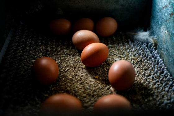 250306-eggs-2-aa-1225-def2b0-1 Poultry Farm Operations As Egg Prices Soar